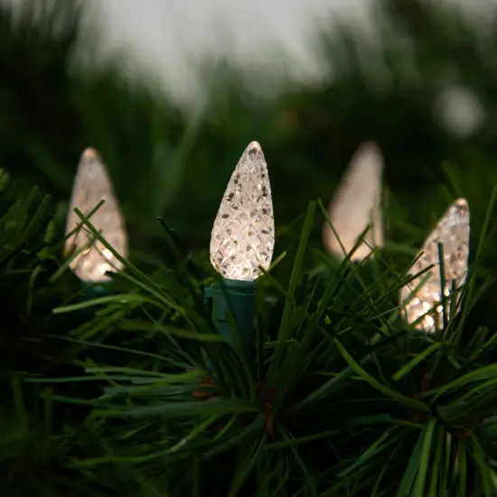Northlight LED C6 Faceted Christmas Lights - Warm White- 15.75’ Green Wire- 50ct {4}