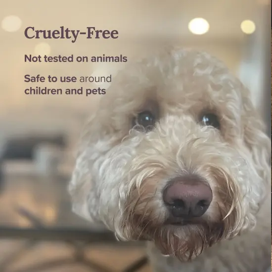 Magnificent 101 Long Lasting Remover Sage Smudge Candle | 6 oz - 35 Hour Burn | Pure Sage Scented Soy Wax Candle for House Energy Cleansing & Manifestation | Erase Negativity with Positivity Multicolor {5}