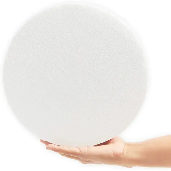 Craft Foam Disks, White Circles for Arts and DIY Crafts (10 x 2 in, 3 Pack) {6}