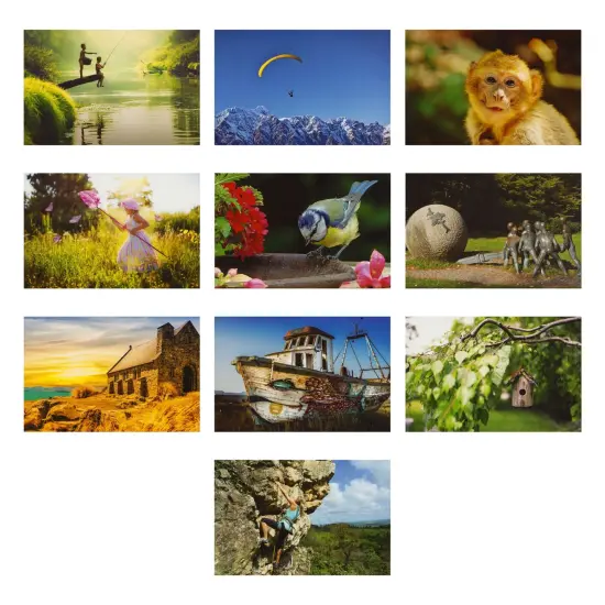 40 Pack Bulk Animal and Travel Postcards From Around the World for Mailing, Assorted Nature Thank You Notes (4 x 6 In) Multicolor {5}