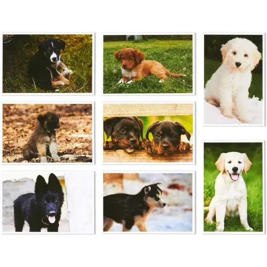40 Pack Puppy Dog Postcards Bulk Set - All Occasion Assorted Blank Post Cards Greeting Bulk Box Set - 4 x 6 Inches {7}