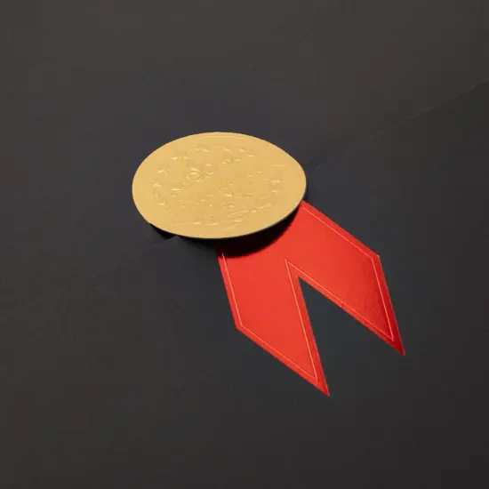 12-Pack Award Certificate Holders - Bulk Certificate Holders for Graduation, Diploma, Employee Appreciation, Certifications (12.5 x 9.2") Black {7}