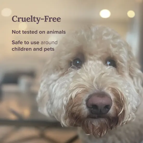 Magnificent 101 Pure Sage Energy Cleansing Aromatherapy Glass Candle for Meditation, Manifestation, and Intention-Setting - 14.5 oz Natural Soy Wax and Essential Oil | 56-Hour Burn Time Green {5}