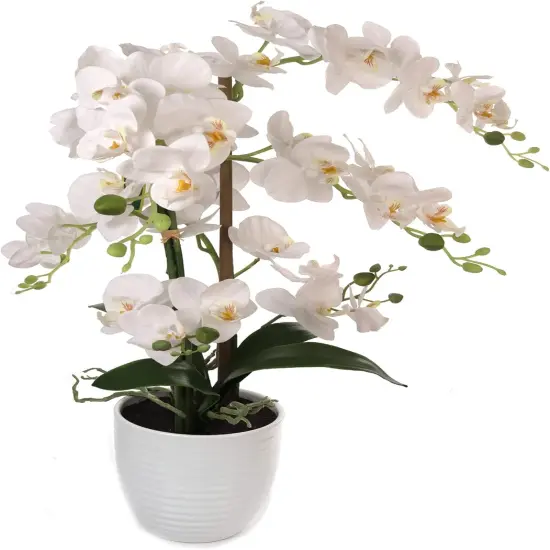 25" Luxurious Phalaenopsis Orchid - Elegant Silk Flower for Home Decor Accents, Floral Home by Artificial Flowers {1}