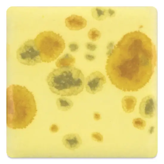 Mayco Jungle Gems Crystal Glaze - Haystack, Pint {1}