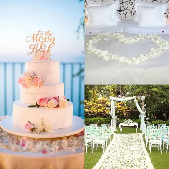 Decor 5000 Pcs Rose Petals Artificial Flower for Valentine's Wedding Decor Romantic Night Event Anniversary Shower Engagement Party Home Decorations {4}