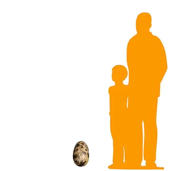 Small Theropod Dinosaur Egg Life Size Statue {2}