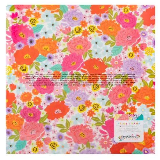 Paige Evans Adventurous Specialty Paper 12"X12"-Acetate {1}