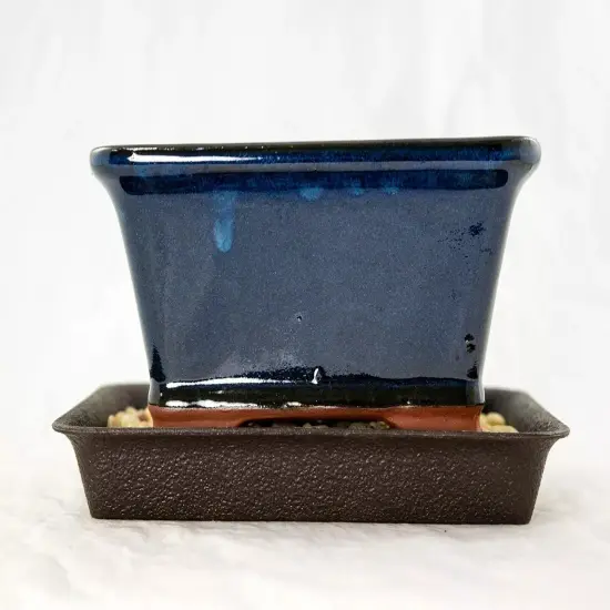 6.25" Rectangular Dark Blue Bonsai / Succulent Pot + Tray + Rock + Mesh Combo {4}