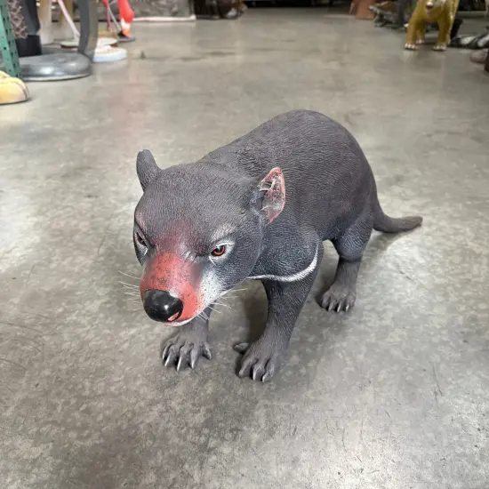 Tasmanian Devil Life Size Statue {4}