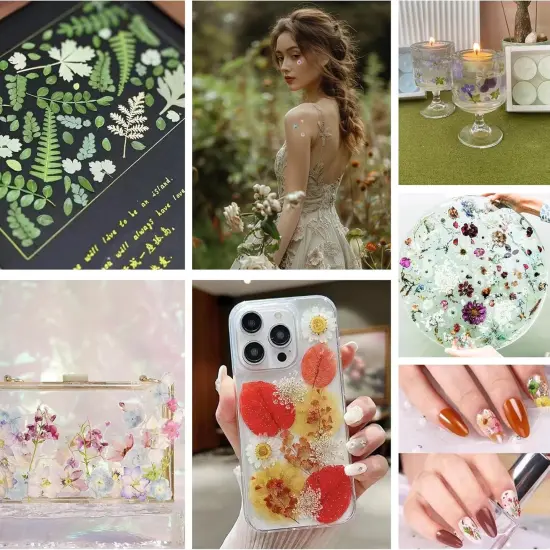 6 Pack 150PCS Real Pressed Dried Flowers Dry Leaves - Colorful {3}