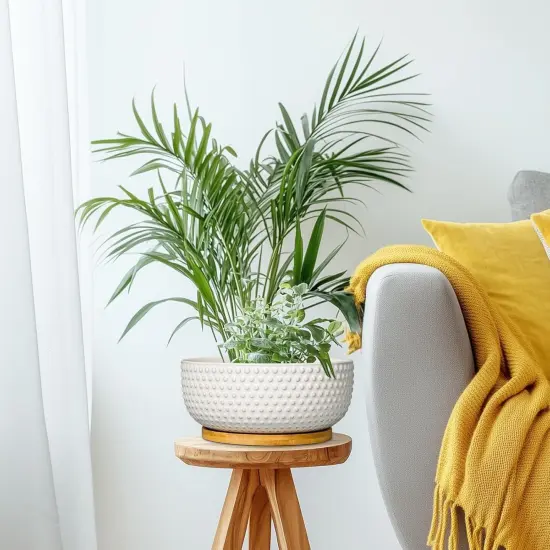 8" Ceramic Bonsai Pot &ndash; Round Indoor Planter with Drainage & Tray for Succulents & Decorative Plants {7}