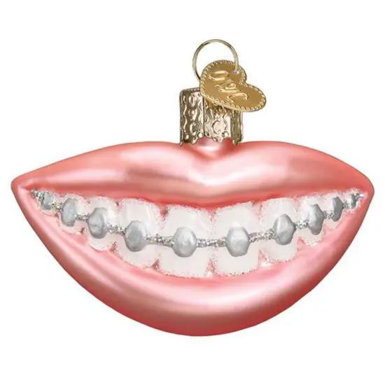 Old World Christmas 1.75 In Braces Christmas Tree Ornament , Healthy Strong Teeth Pink {1}