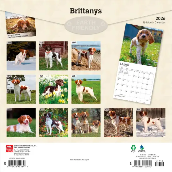Brittanys | 2026 12 x 24 Inch (Hanging) Monthly Square Wall Calendar | Plastic-Free {2}