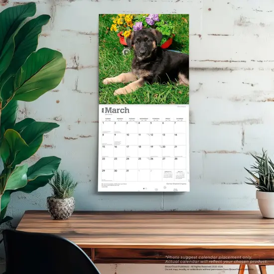 German Shepherd Puppies | 2026 12 x 24 Inch (Hanging) Monthly Square Wall Calendar | Plastic-Free {5}