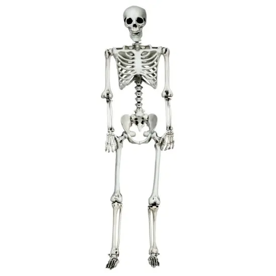 5.4 Feet Life-Size White Poseable Halloween Skeleton with Hanging Rope for Outdoor Decor {1}