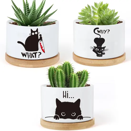 3PCS Funny Printed Ceramic Plant Pots – Succulent Planters with Drainage & Saucers, Gift for Women {2}