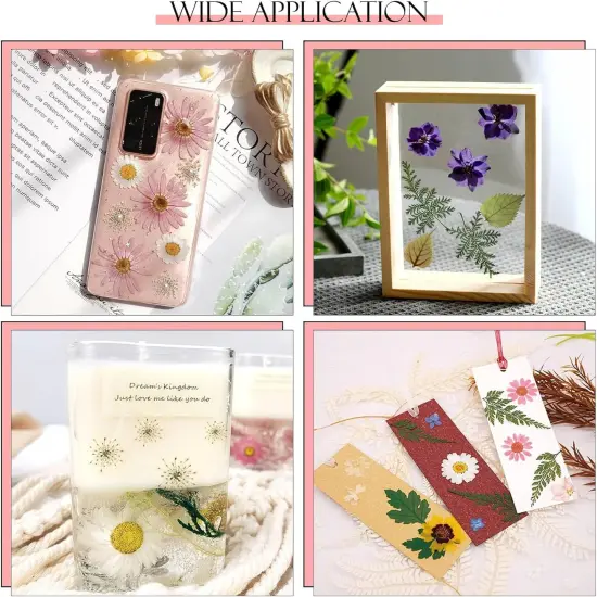 153 Pcs Dried Pressed Flowers for Crafts {2}