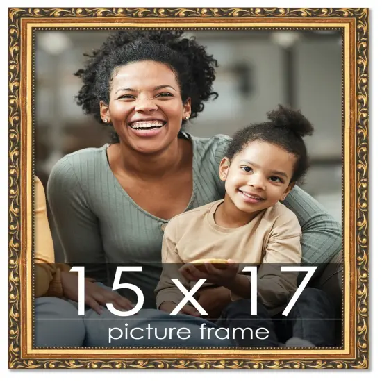 15x17 Museum-Quality Picture Frame with UV-Resistant Acrylic & Acid-Free Backing, Available in 4 Finishes - Gold, Silver, Bronze, and Black {1}