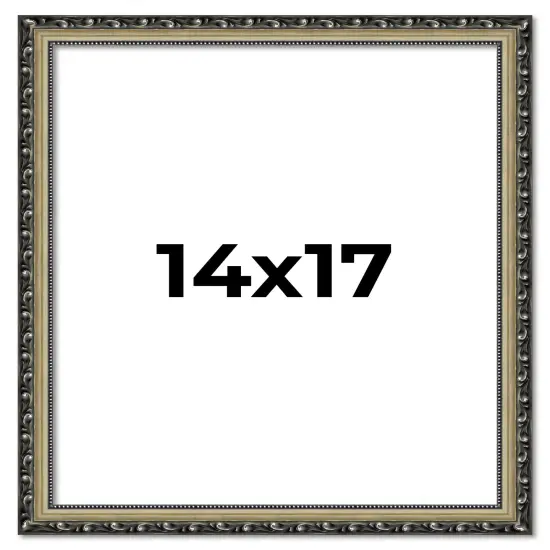 14x17 Museum-Quality Picture Frame with UV-Resistant Acrylic & Acid-Free Backing, Available in 4 Finishes - Gold, Silver, Bronze, and Black {1}