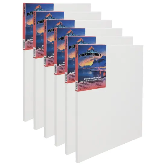 Paramount Canvas for Painting - Pack of 6,White Canvases- 11/16" 100% Cotton Stretched Canvas, Triple-Primed for All Media, Medium Tooth, Back-Stapled, 12oz Primed Weight, Wood Stretcher Bars {1}