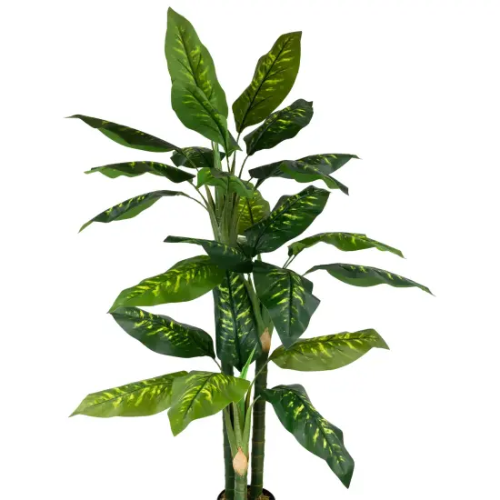Northlight Wide Leaf Artificial Dieffenbachia Potted Plant - 59" Green {4}