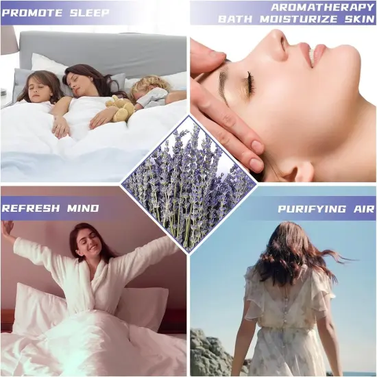 Dried Lavender Flowers Bundles 100% Natural Real Dry Flower for Home Decorations,Home Fragrance 350+ Stems {2}