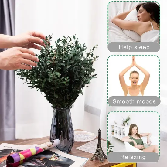 Large Dried Eucalyptus Stems - Real Preserved Fresh Eucalyptus Plant for Arrangement {2}