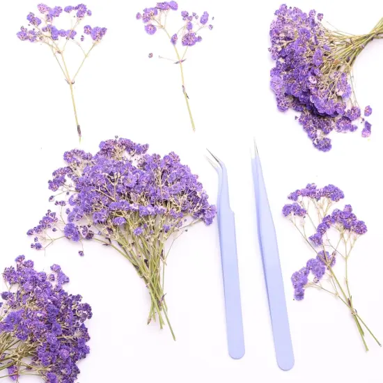 Purple 70 Branches Pressed Flowers Bulk Dried Flower for Resin , Dried Babys Breath Flower with 2 Tweezer {1}
