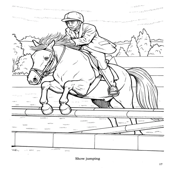 Wonderful World Of Horses Coloring Book-Softcover {5}