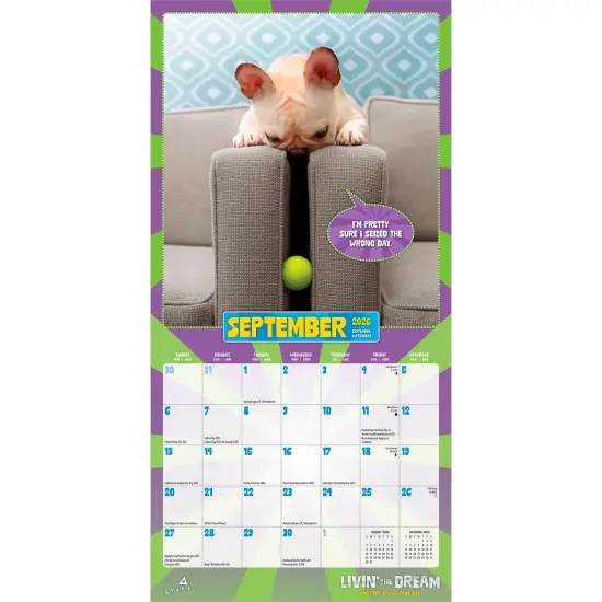 Avanti Livin' the Dream OFFICIAL | 2026 7 x 14 Inch (Hanging) Monthly Mini Wall Calendar {4}