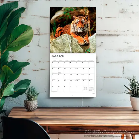 Tigers | 2026 12 x 24 Inch (Hanging) Monthly Square Wall Calendar | Plastic-Free {5}