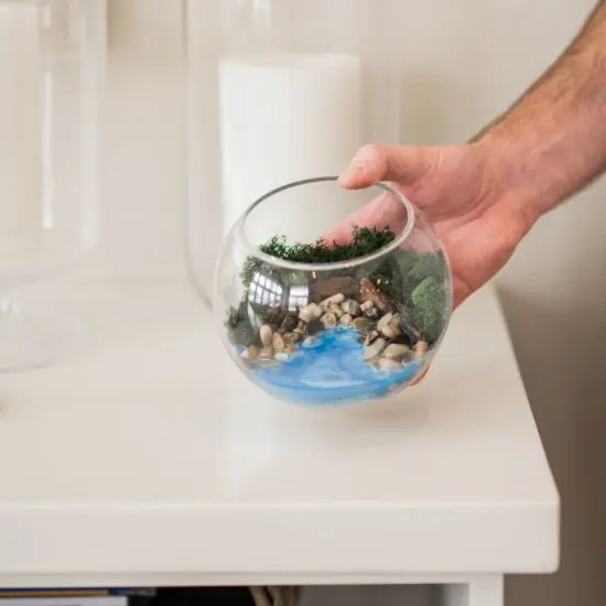 Resin Terrarium Kit {6}