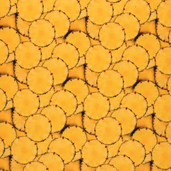 Mook Fabrics Fruit-Vegetables Cotton Fabric [45 in. Wide] - By The Yard Pinapple Slices {1}