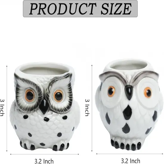 Owl Ceramic Planters With Drainage {3}