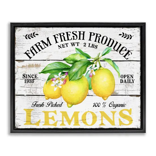 Stupell Industries Farm Fresh Produce Lemons Floater Framed Canvas Wall Art Design by Creatif Belle {1}