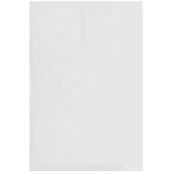 Plymor 16" x 24", 2 Mil Flat Open Clear Plastic Poly Bags {1}