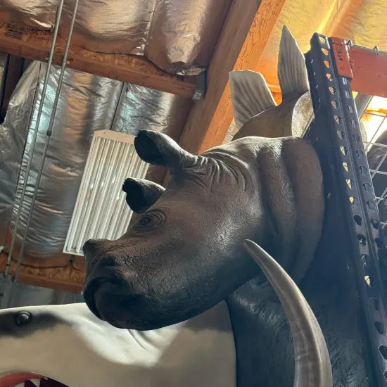 Baby Rhinoceros Head Life Size Statue {3}