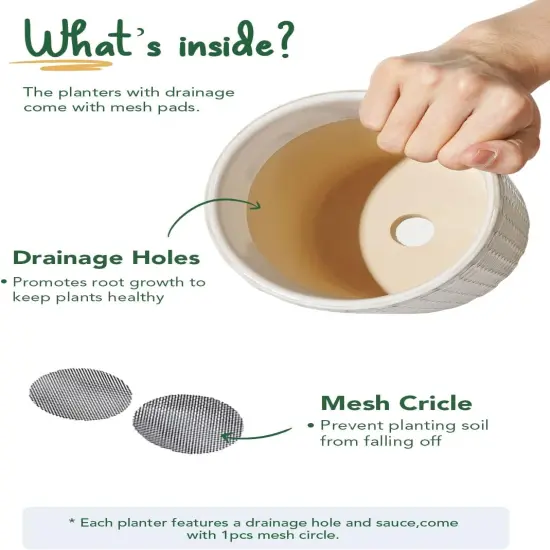 Set of 2 5.4 Inch Ceramic Planters with Drainage Hole and Saucer (C&D Embossed Pattern) {5}