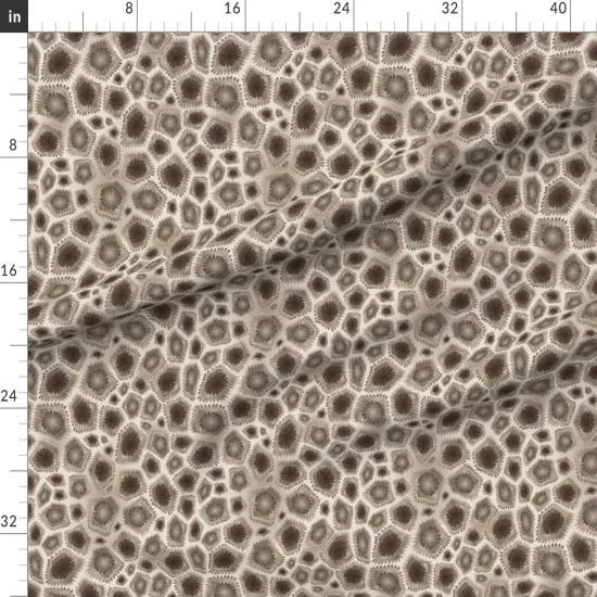 Various Fabrics by the Yard or Fat Quarter Petoskey Stone Brown Beige Coral Custom Printed Fabric by Spoonflower {1}