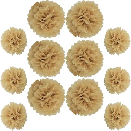 12 Pieces Tissue Paper Pompoms 10in and 12in Hanging Tissue Flowers Decorations Colour Paper Flower Ball Paper Flowers Pom Poms for Party Wedding Decoration (ZH/Khaki) {1}