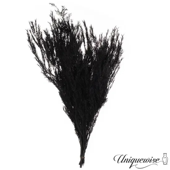 Uniquewise Preserved Real Floral Stems Chic Vase Fillers & Accents for Bouquets Centerpieces & Ornamental Displays Ideal for Home Office Boutique Cafe Resto Bar and Event Decor Lp peng lai song {10}