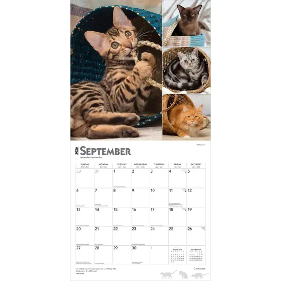 Cat Lovers | 2026 12 x 24 Inch (Hanging) Monthly Square Wall Calendar | Foil Stamped Cover | Plastic-Free {4}