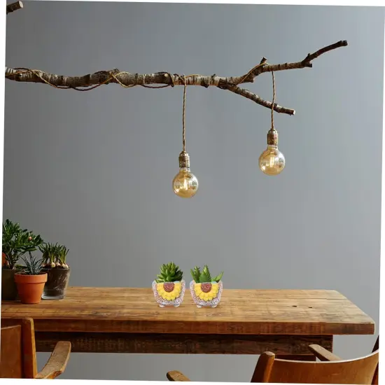 2pcs Hand Painted Cactus Plant Pots {4}