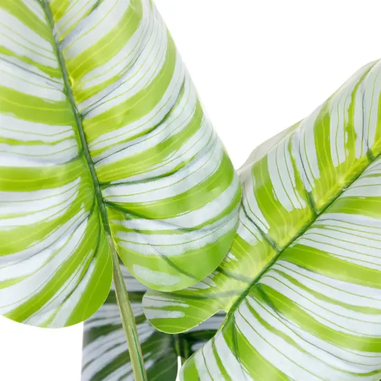 Northlight Potted Two Tone Green Calathea Artificial Floor Plant - 4' {7}