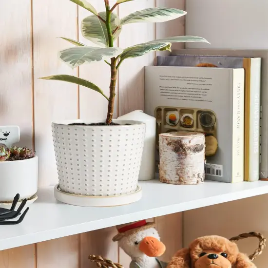 Set of 2 5.4 Inch Ceramic Planters with Drainage Hole and Saucer (C&D Embossed Pattern) {3}