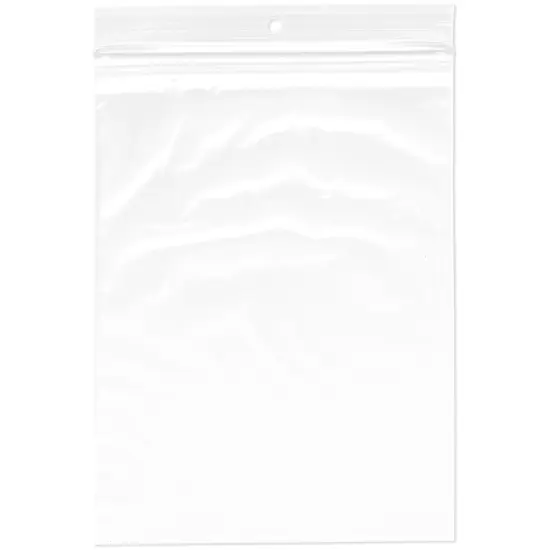 Plymor 6" x 8", 2 Mil with Hang-Hole Zipper Reclosable Plastic Bags {1}