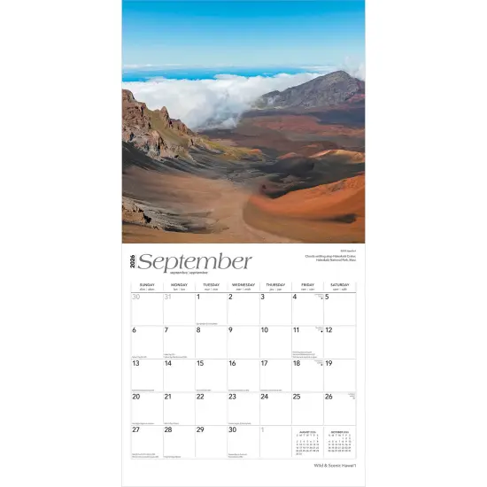 Hawaii Wild & Scenic | 2026 12 x 24 Inch (Hanging) Monthly Square Wall Calendar | Foil Stamped Cover | Plastic-Free {4}
