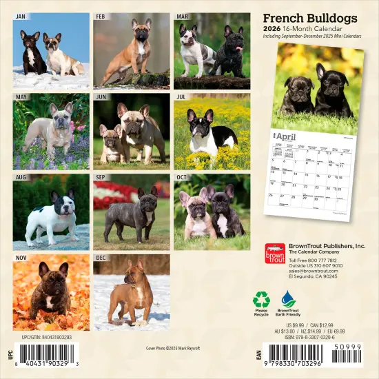 French Bulldogs | 2026 7 x 14 Inch (Hanging) Monthly Mini Wall Calendar {2}