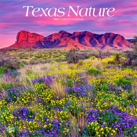 Texas Nature | 2026 12 x 24 Inch (Hanging) Monthly Square Wall Calendar | Plastic-Free {1}